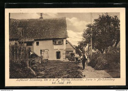 AK Schömberg, Partie in Alt-Schömberg