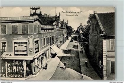 13433618 - Schoenebeck Elbe