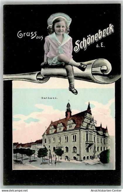 13523013 - Schoenebeck Elbe