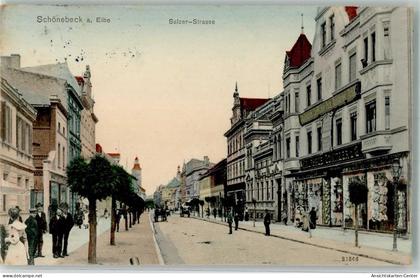 13523574 - Schoenebeck Elbe