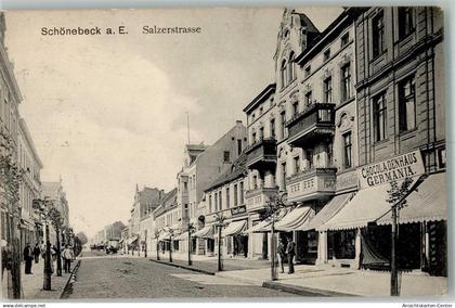 13565704 - Schoenebeck Elbe