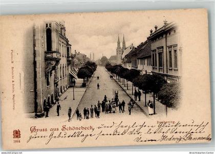 13571696 - Schoenebeck Elbe