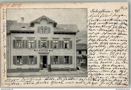 13705480 - Schopfheim