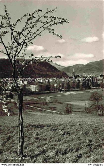 Schopfheim BW Schopfheim Panorama Kirchturm Berge Schwarzwald Wiesen Fruehling O