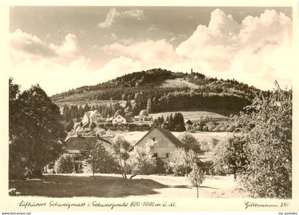 Schweigmatt Schopfheim Panorama