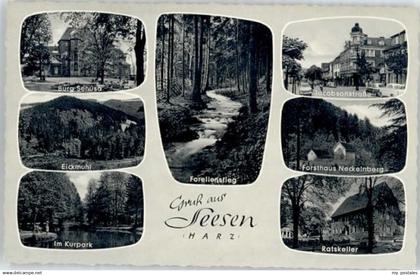 Seesen Harz Seesen Burg Sehusa Kurpark Jacobsonstrasse Forsthaus Neckelnberg Rat