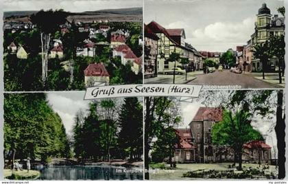 Seesen Harz Seesen Kurpark Burg Sehusa