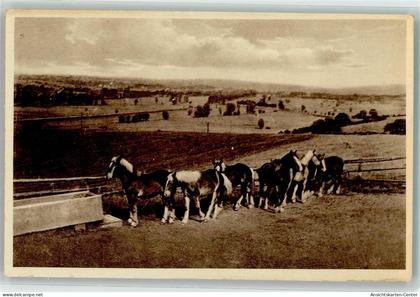 39548036 - Sinsheim , Elsenz