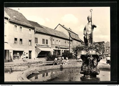 AK Kölleda /Kr. Sömmerda, Wipertusbrunnen am Markt
