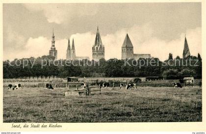Soest Arnsberg Stadt der Kirchen Stadtumwallung Kirchen Alte Haeuser