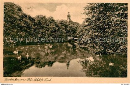 Sondershausen Thueringen Schlossteich Schwaene