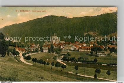 St Blasien Panorama