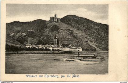 Wellmich mit Thurmberg