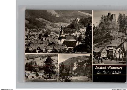50226915 - Steinbach-Hallenberg , Kurort,