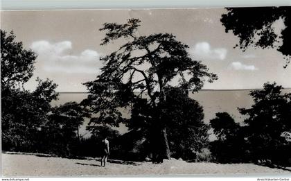 40118120 - Steinhude