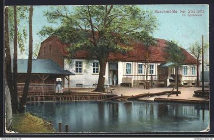 AK Straupitz im Spreewald, Partie an der Buschmühle