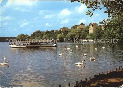 Strausberg Brandenburg Stausee Schwaene