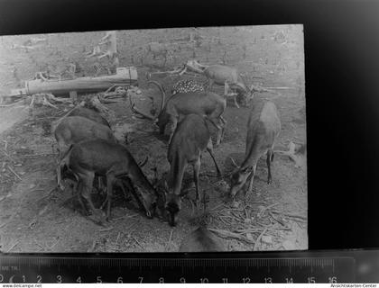 30086540 - Sundern (Sauerland)