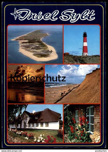 ÄLTERE POSTKARTE SYLT MEHRBILD FRIESENHAUS & LEUCHTTURM Seestern Starfish étoile de Mer du nord Nordsee North Sea AK cpa