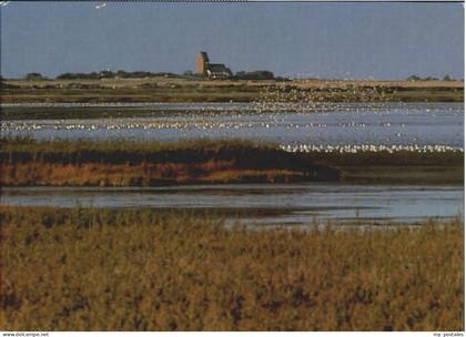 Keitum Sylt Keitum Insel Sylt