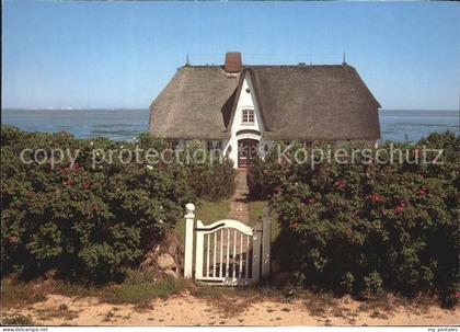 Morsum Sylt Sylt Haus Meer