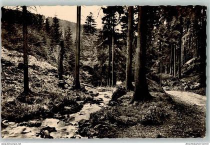 10482219 - Tambach-Dietharz , Thueringer Wald