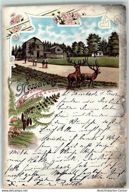 13134160 - Tambach-Dietharz , Thueringer Wald