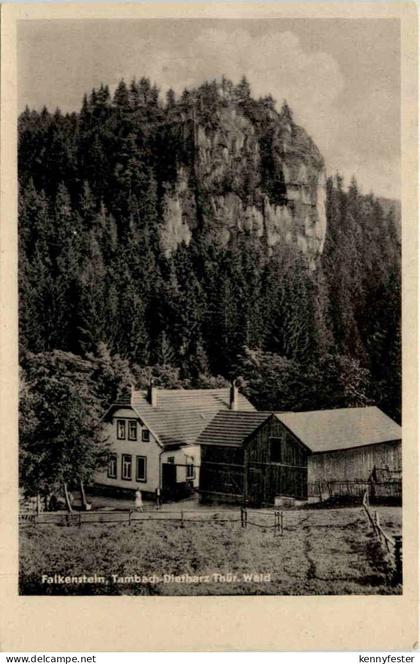 Tambach - Dietharz, Falkenstein