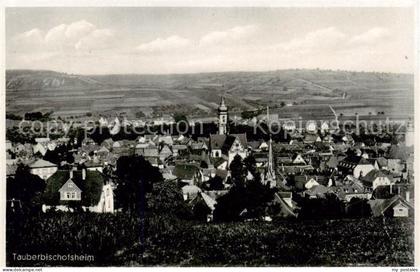 Tauberbischofsheim Panorama