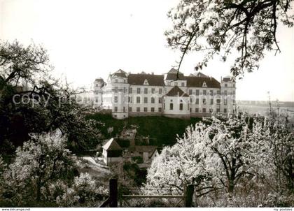 Tettnang Schloss Baumbluete