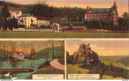 AK Greiz Gasthaus zum Hirschstein Schwanenhäuschen Thüringen Vogtland Postkarte