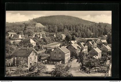 AK Demitz-Thumitz /Kr. Bischofswerda, Teilansicht mit Klosterberg