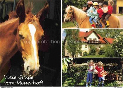 Tirschenreuth Bayern Meuerhof Pferd