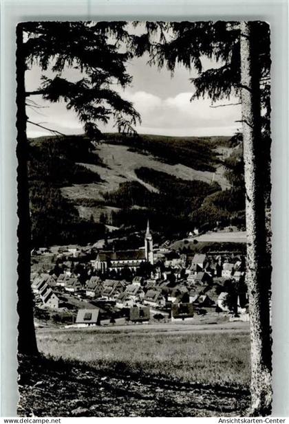 10094894 - Titisee-Neustadt