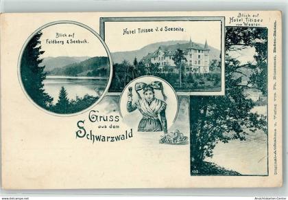 13933775 - Titisee Titisee-Neustadt