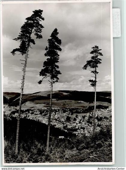 40012251 - Titisee-Neustadt