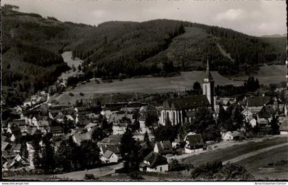 50481044 - Titisee-Neustadt