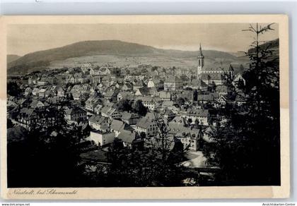 51484619 - Titisee-Neustadt