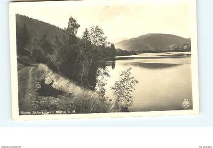 Titisee-Neustadt Titisee Neustadt