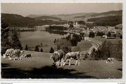 Titisee-Neustadt Titisee Neustadt