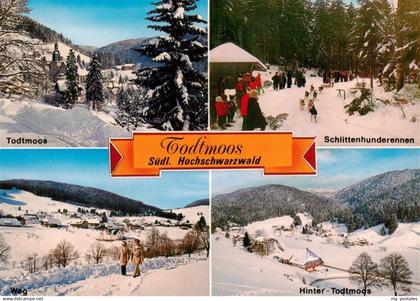 Todtmoos Panorama Schlittenhunderennen Winterspaziergang Hinter Todtmoos