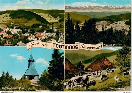 Todtmoos Schwarzwald BW Panorama Alpenblick Hochkopfturm Todtmoos Weg