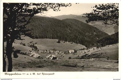 Muggenbrunn Schwarzwald - Todtnau