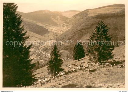 Todtnau Panorama