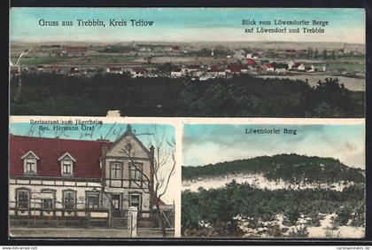 AK Trebbin /Teltow, Restaurant zum Jägerheim, Bes. Hermann Graf, Blick vom Löwendorfer Berg
