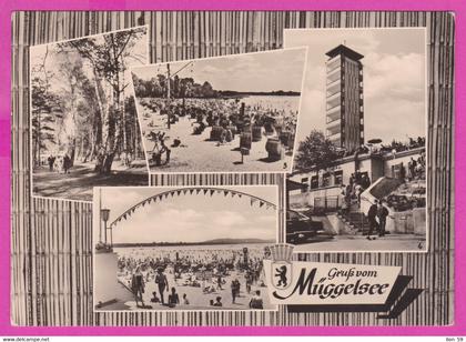 282764 / Germany - Berlin - Gruss von Müggelsee - Waldpromenade Müggeltrum Badelaben im Strandbad Müggelsee 1964 PC