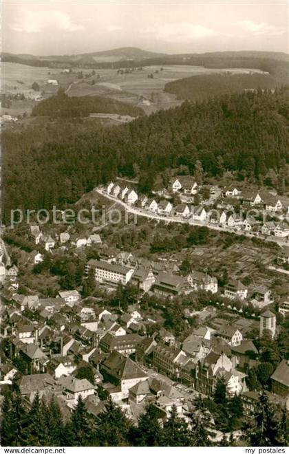 Triberg Fliegeraufnahme