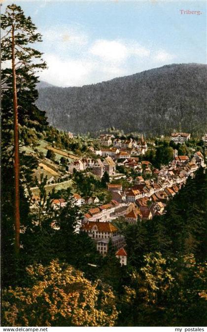 Triberg Panorama