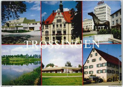 50492266 - Trossingen