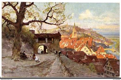 TueBINGEN BW